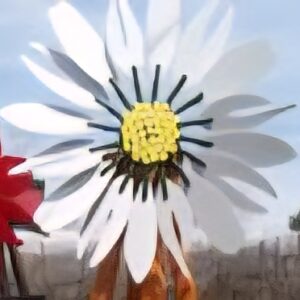 Daisy Windmill