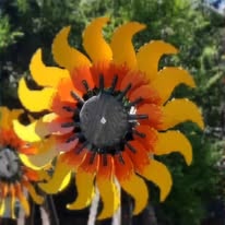 Sunflower Flame2 Windmill