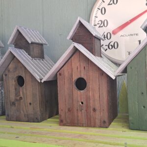 TownShip BirdHouses